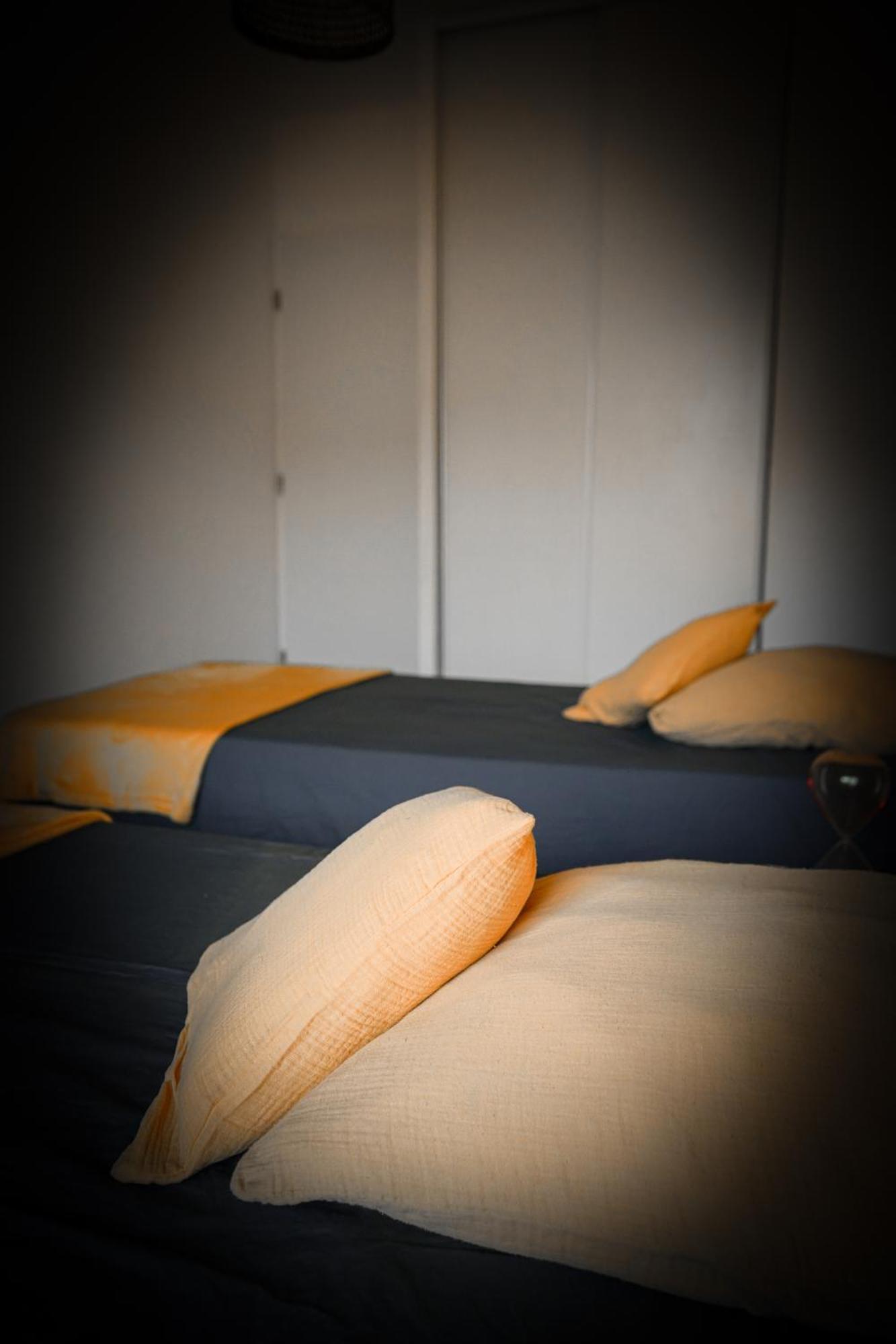 Bel Appartement Climatise & Parking Perpignan Zewnętrze zdjęcie